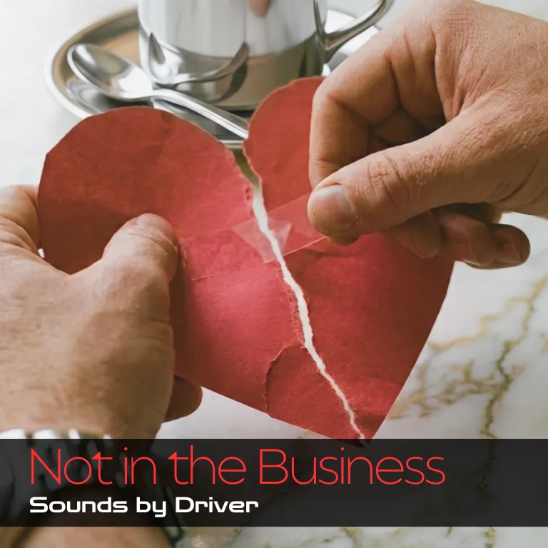 Not in the Business — cover art