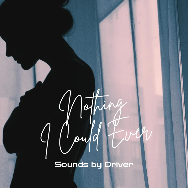Nothing I Could Ever — cover art