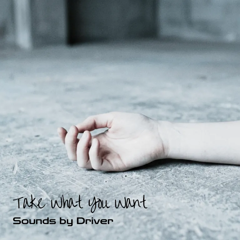 Take What You Want — cover art