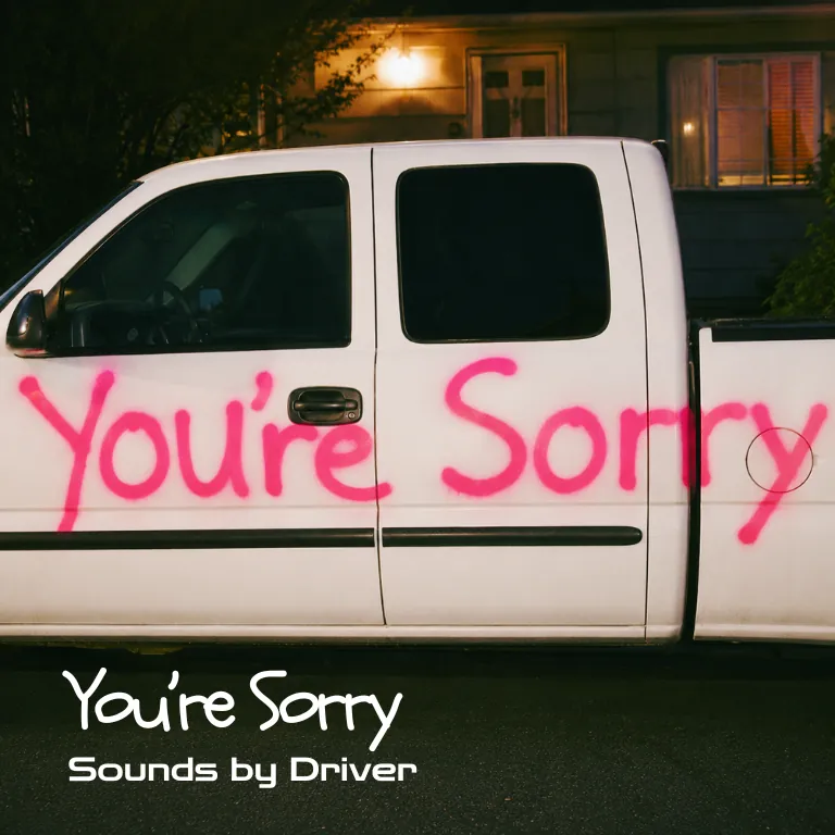 You're Sorry — cover art
